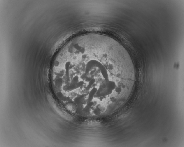 X0000114550491200911091159
