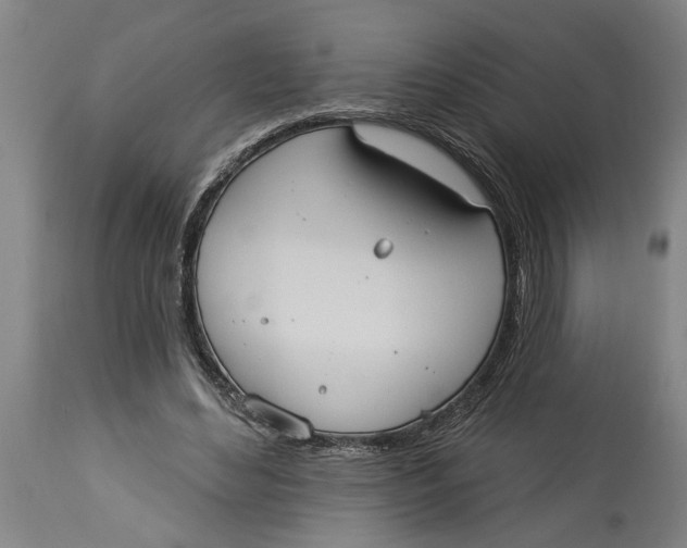 X0000114550492200911091159