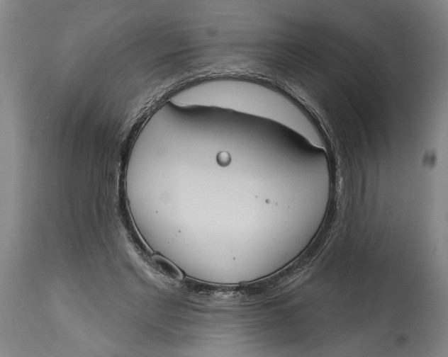 X0000114550493200911091159