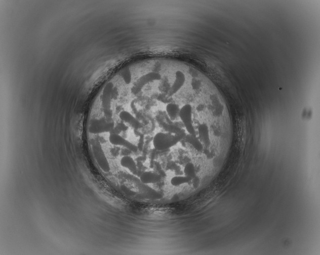 X0000114550495200911091159
