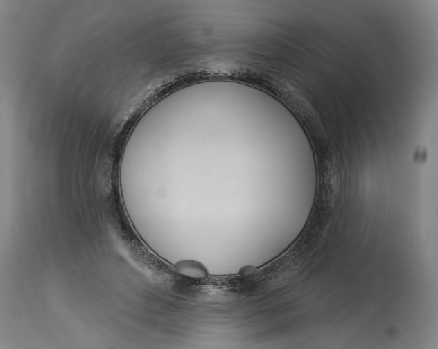 X0000114550496200911091159