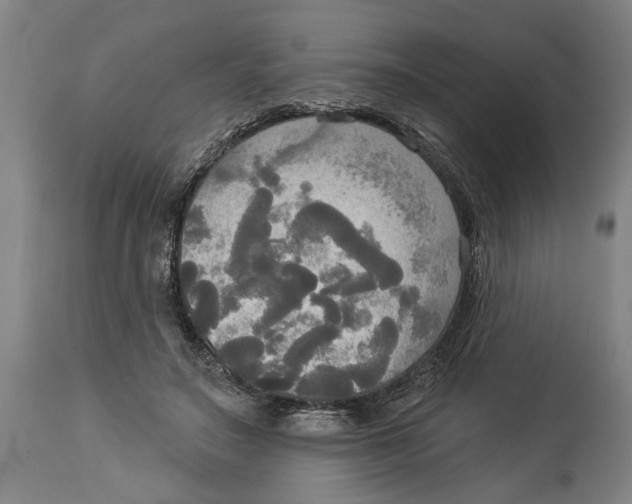 X0000114550499200911091159