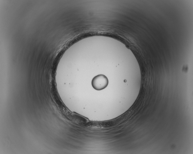 X0000114550500200911091159
