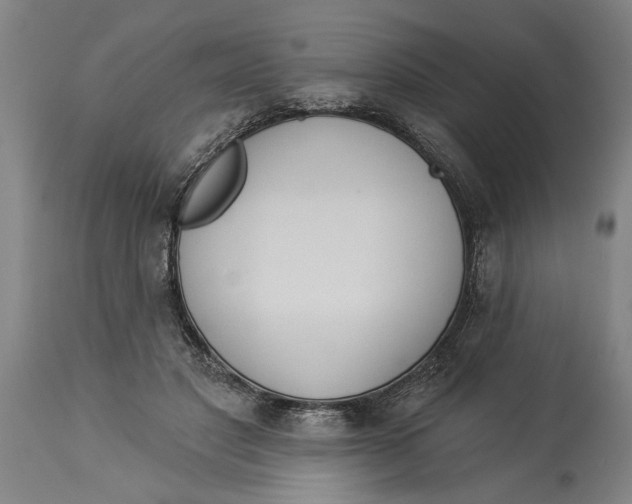 X0000114550501200911091159