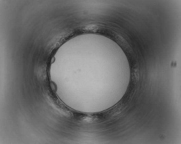 X0000114550504200911091159