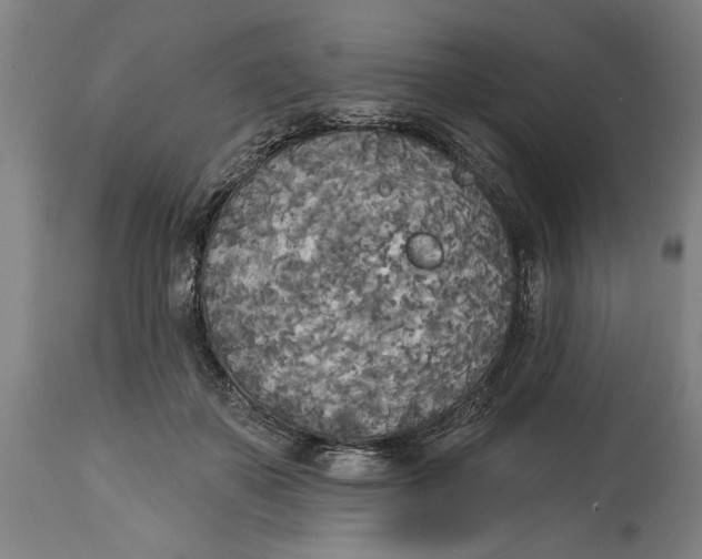 X0000114550507200911091159