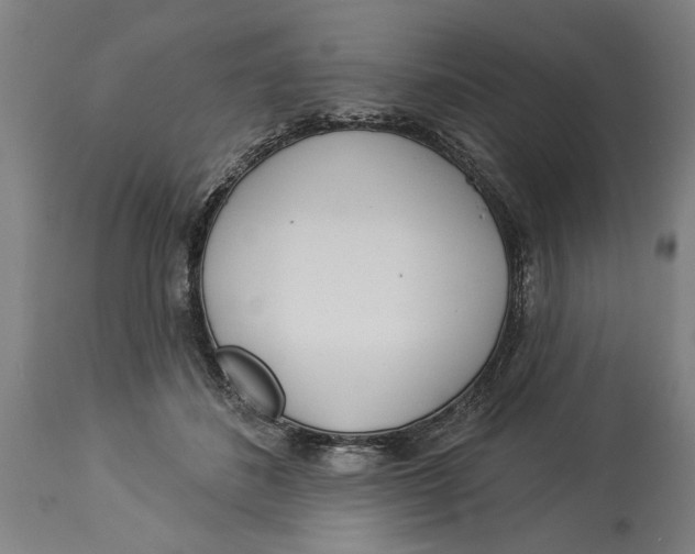 X0000114550508200911091159