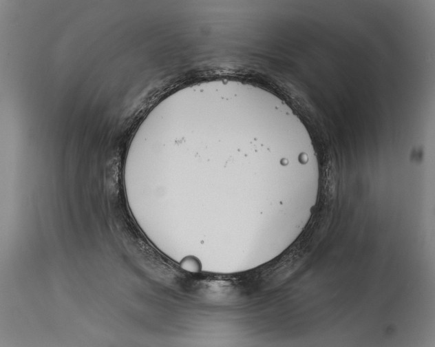 X0000114550509200911091159