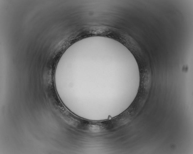 X0000114550510200911091159