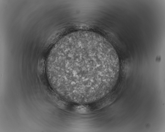 X0000114550511200911091159