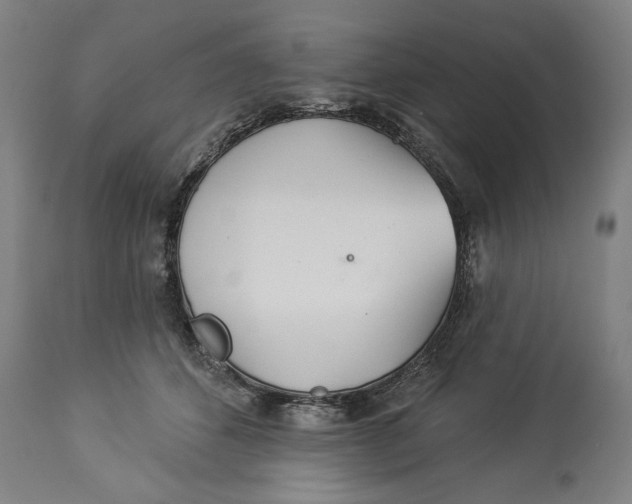 X0000114550512200911091159