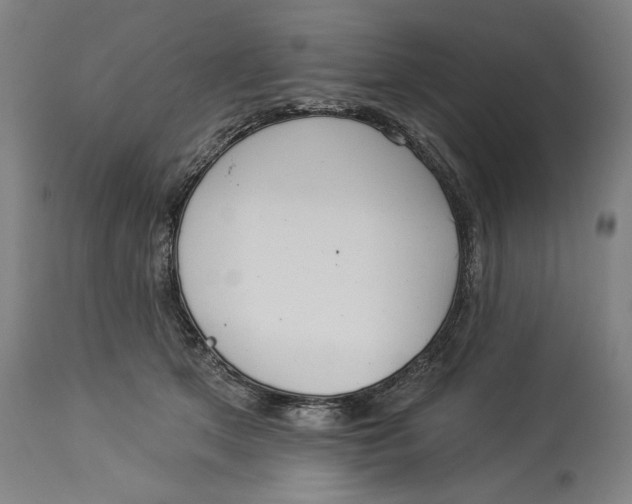 X0000114550513200911091159