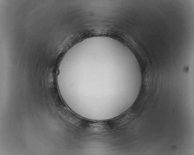 X0000114550516200911091159