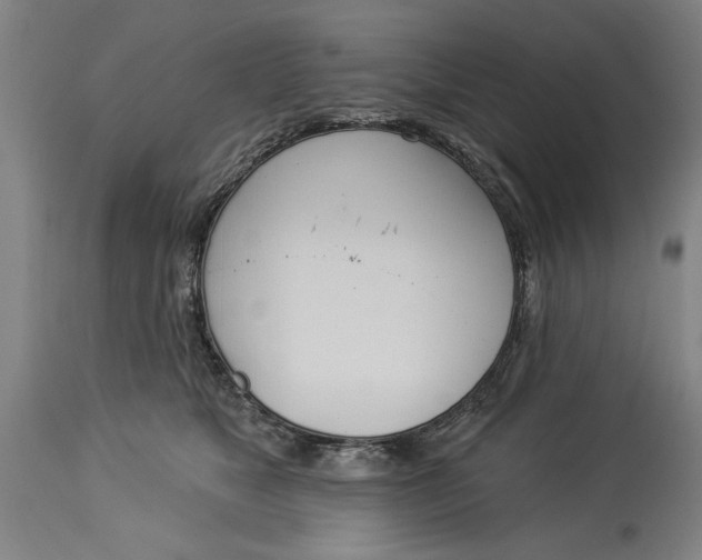 X0000114550517200911091159