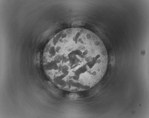 X0000114550519200911091159