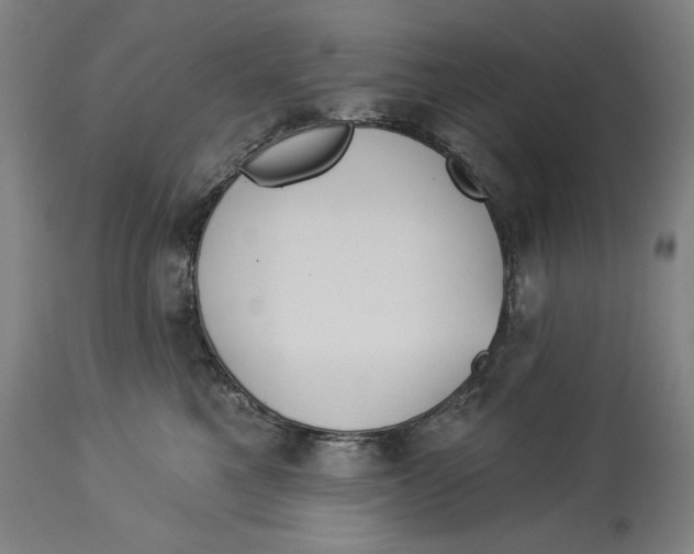 X0000114550521200911091159