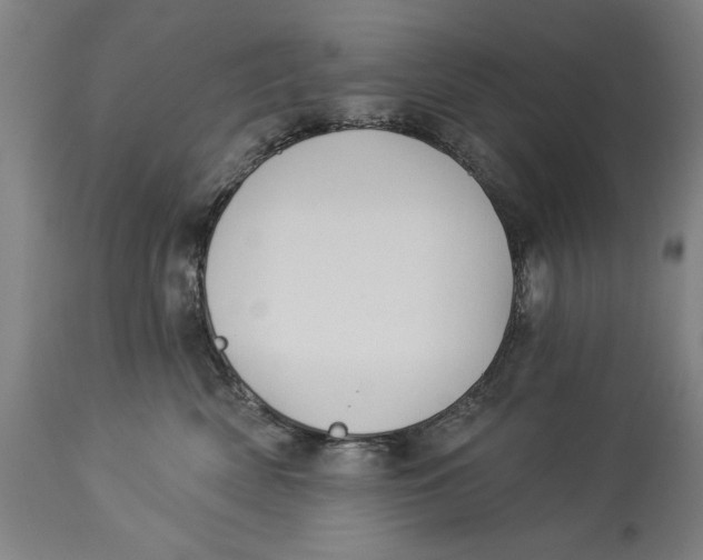 X0000114550522200911091158