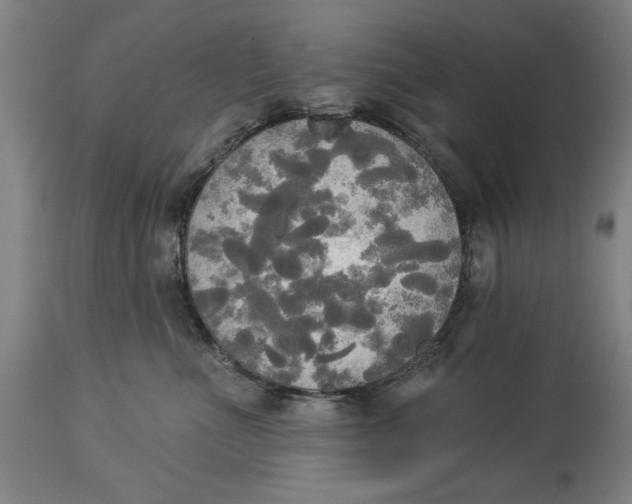 X0000114550523200911091158
