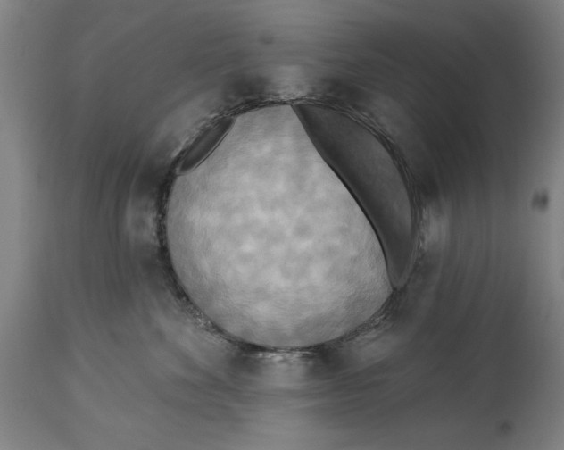 X0000114550524200911091158