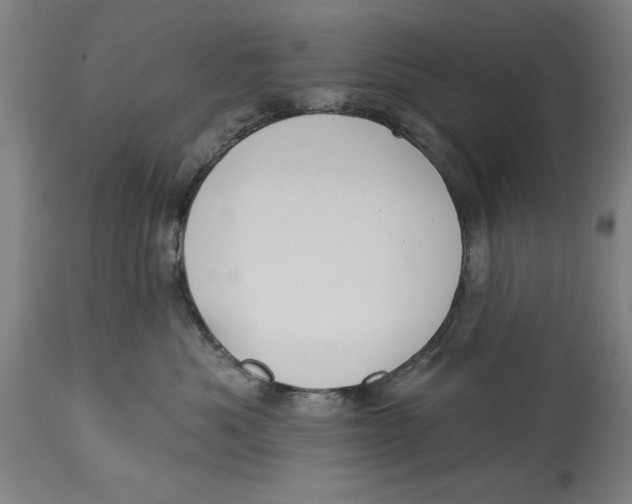 X0000114550525200911091158