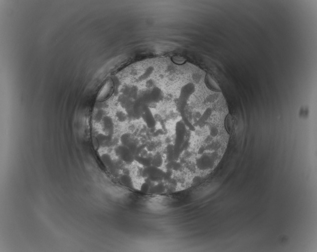X0000114550527200911091158