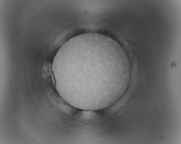X0000114550528200911091158