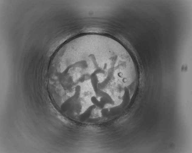 X0000114550529200911091158