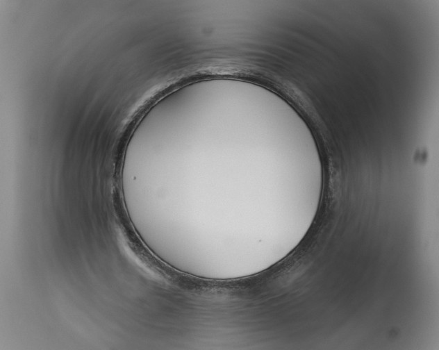 X0000114550530200911091158