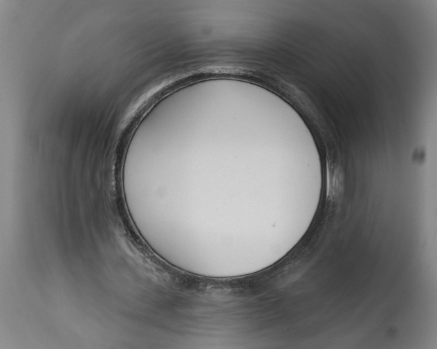 X0000114550531200911091158