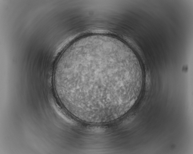 X0000114550533200911091158