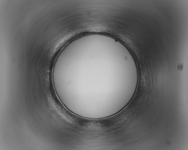 X0000114550535200911091158