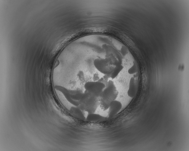 X0000114550537200911091158