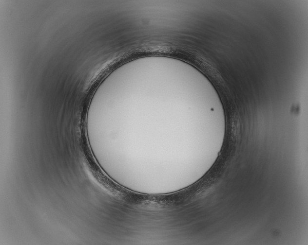 X0000114550538200911091158