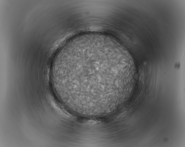 X0000114550542200911091158