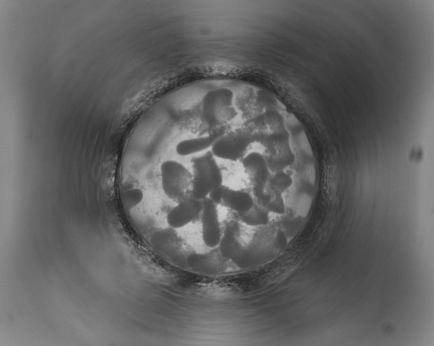 X0000114550545200911091158