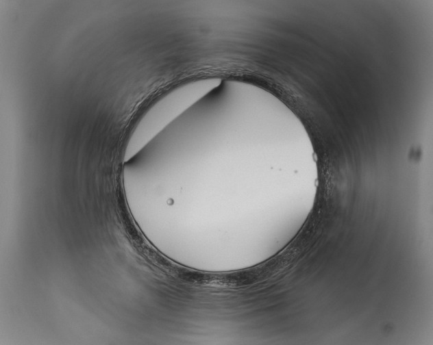 X0000114550546200911091158