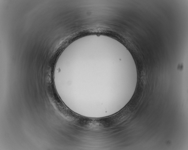 X0000114550547200911091158