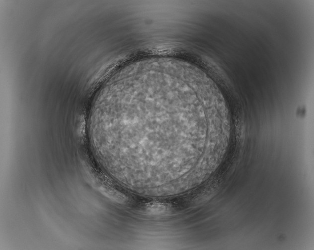 X0000114550549200911091158