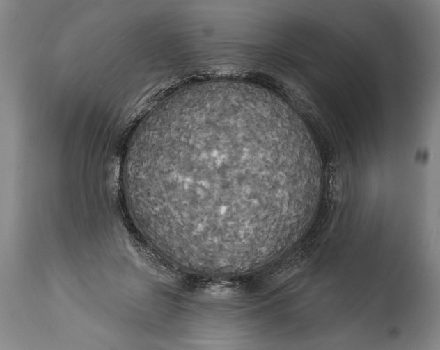 X0000114550550200911091158