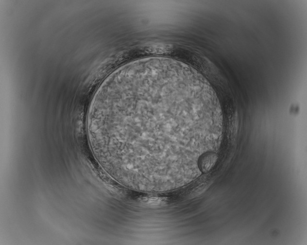 X0000114550553200911091158