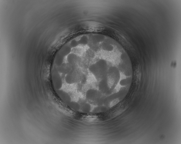 X0000114550554200911091158