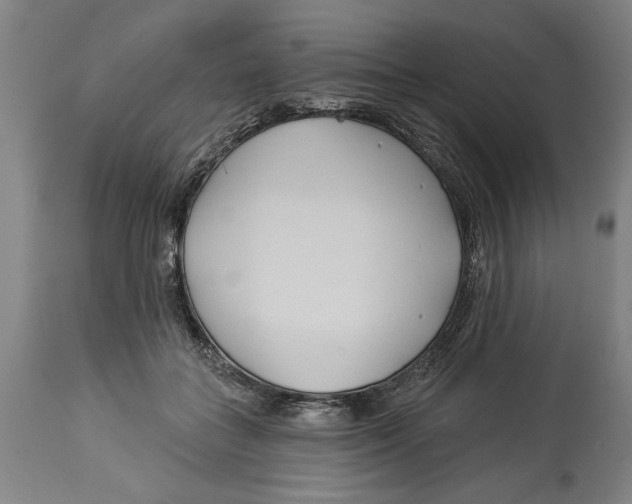 X0000114550555200911091158