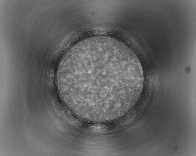 X0000114550557200911091158