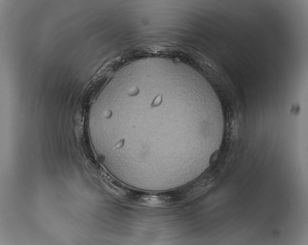 X0000114550558200911091158