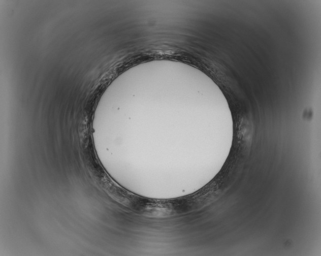 X0000114550559200911091158
