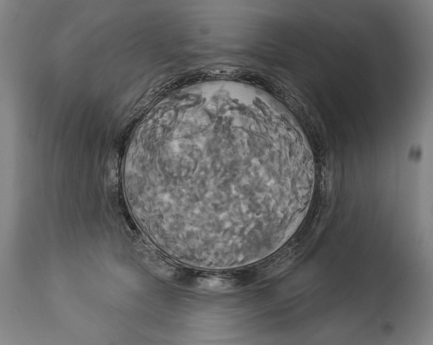 X0000114550561200911091158