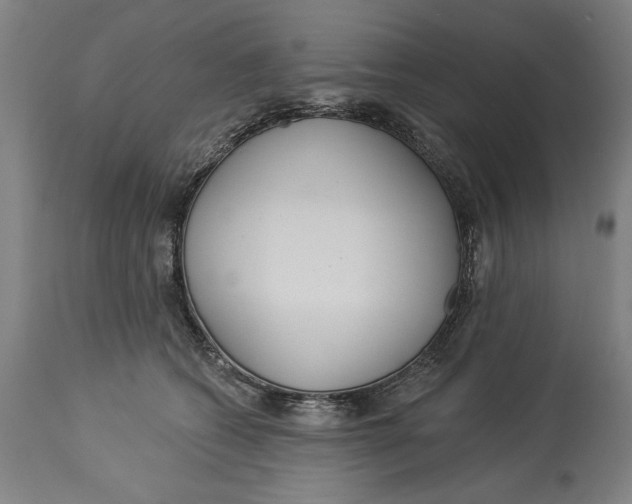 X0000114550562200911091158
