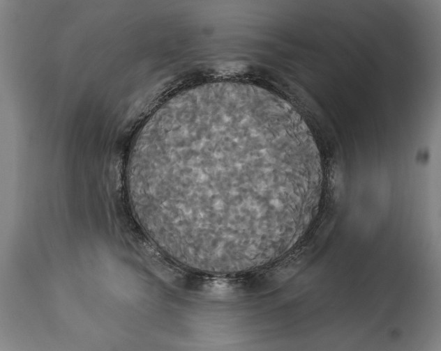 X0000114550565200911091158