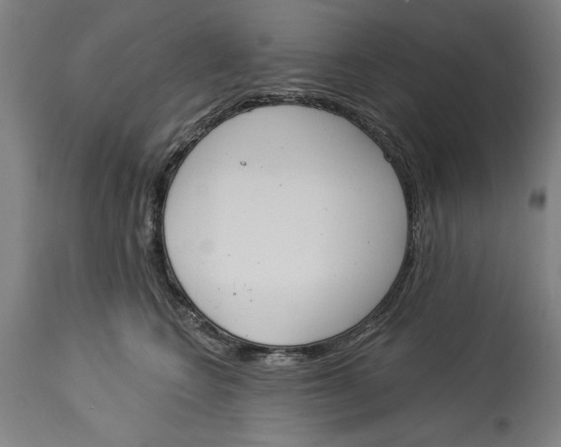 X0000114550566200911091158