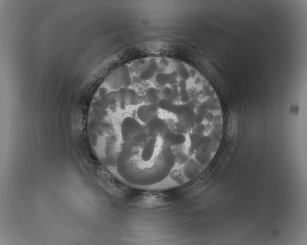 X0000114550569200911091158